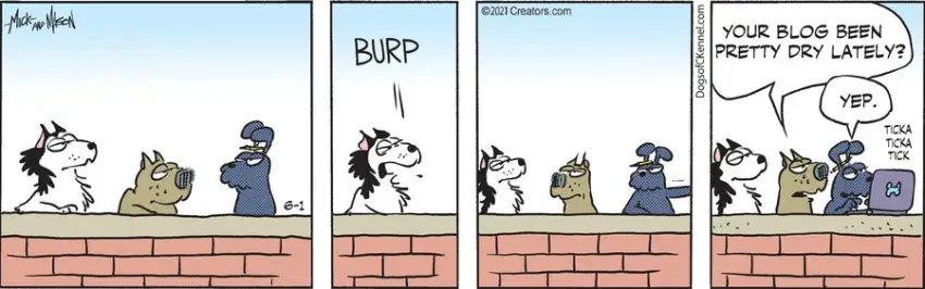 Dogs of C-Kennel for Jun 01, 2021