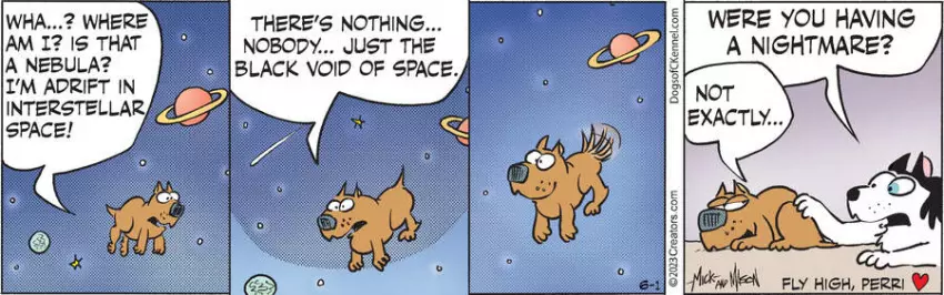 Dogs of C-Kennel for Jun 01, 2023