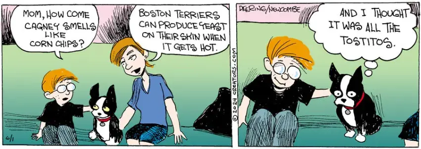 Zack Hill for Jun 01, 2024