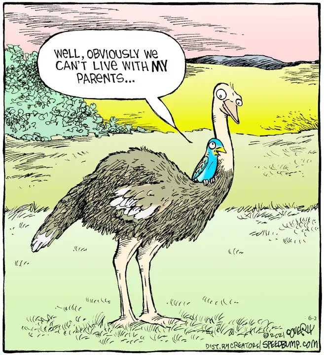 Speed Bump for Jun 02, 2021