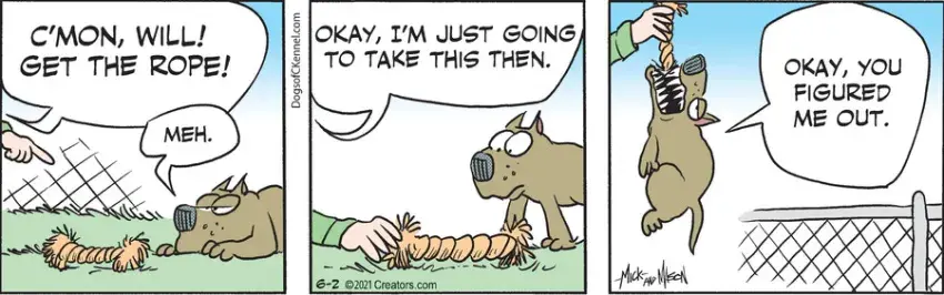 Dogs of C-Kennel for Jun 02, 2021