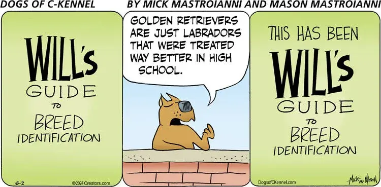 Dogs of C-Kennel for Jun 02, 2024
