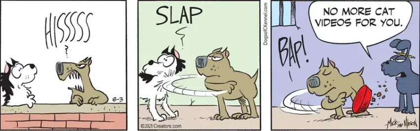 Dogs of C-Kennel for Jun 03, 2021