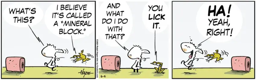 The Barn for Jun 04, 2021