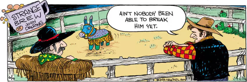 Strange Brew for Jun 04, 2023