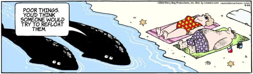 The Other Coast for Jun 04, 2024