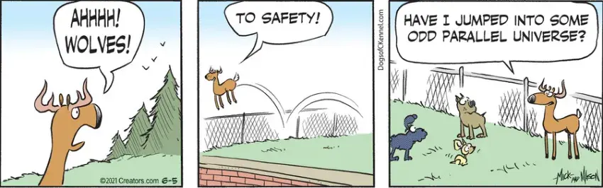 Dogs of C-Kennel for Jun 05, 2021