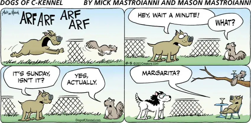 Dogs of C-Kennel for Jun 05, 2022