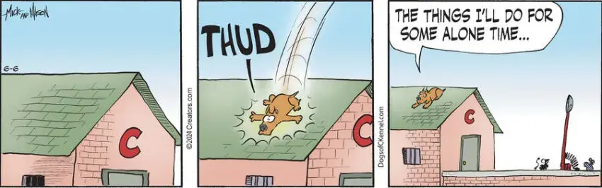 Dogs of C-Kennel for Jun 06, 2024