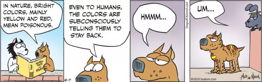 Dogs of C-Kennel for Jun 07, 2023