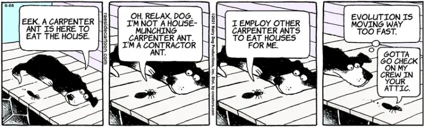 The Other Coast for Jun 08, 2021