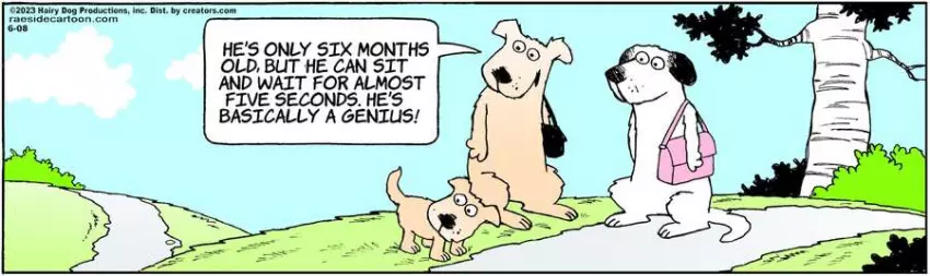 The Other Coast for Jun 08, 2023