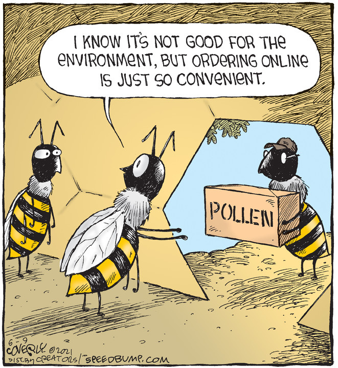 Speed Bump for Jun 09, 2021