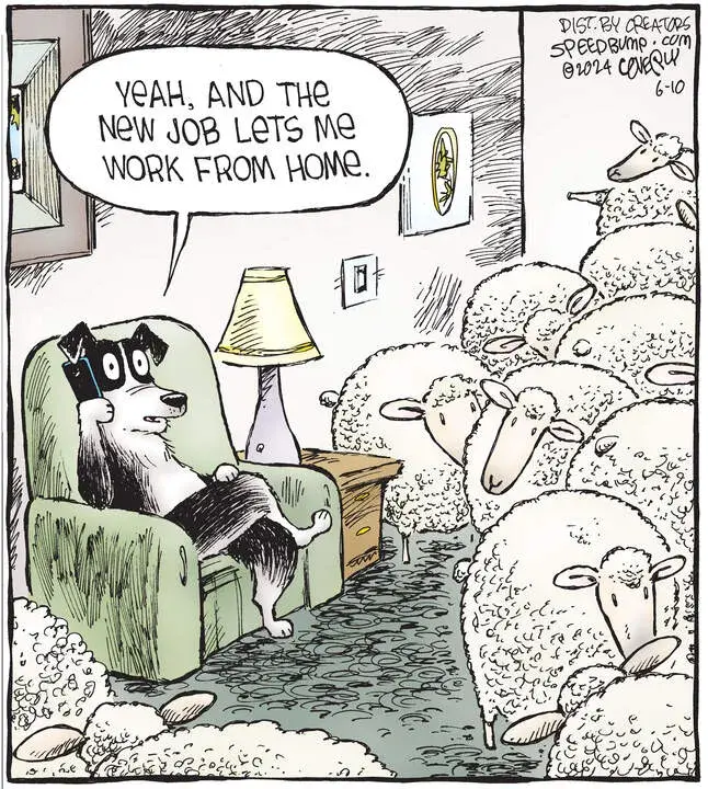 Speed Bump for Jun 10, 2024