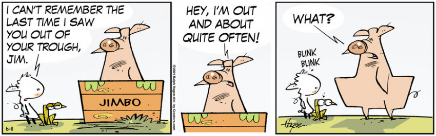 The Barn for Jun 11, 2021