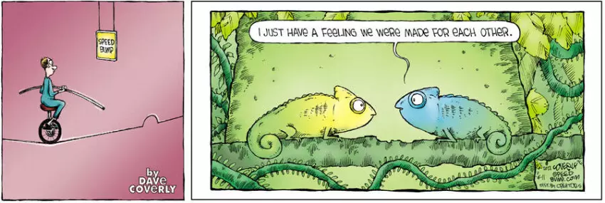 Speed Bump for Jun 11, 2023