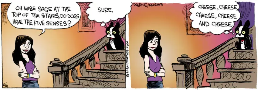 Zack Hill for Jun 11, 2024