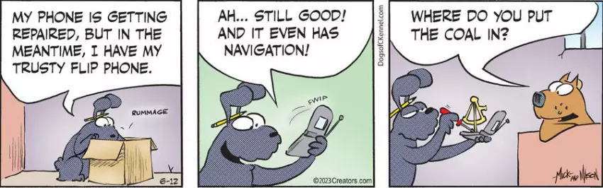 Dogs of C-Kennel for Jun 12, 2023