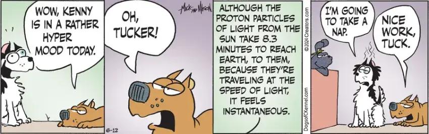 Dogs of C-Kennel for Jun 12, 2024