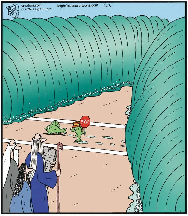 Rubes® for Jun 13, 2024