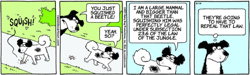 The Other Coast for Jun 14, 2021