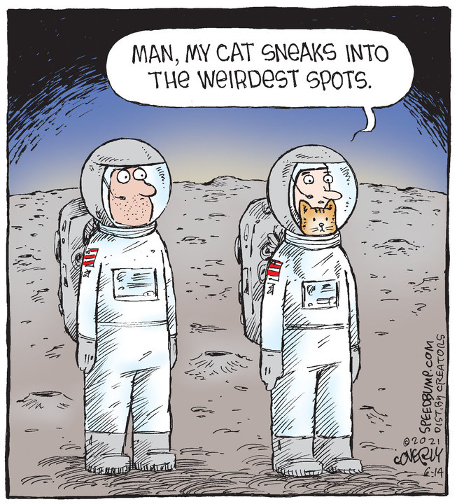 Speed Bump for Jun 14, 2021