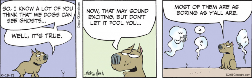 Dogs of C-Kennel for Jun 15, 2021
