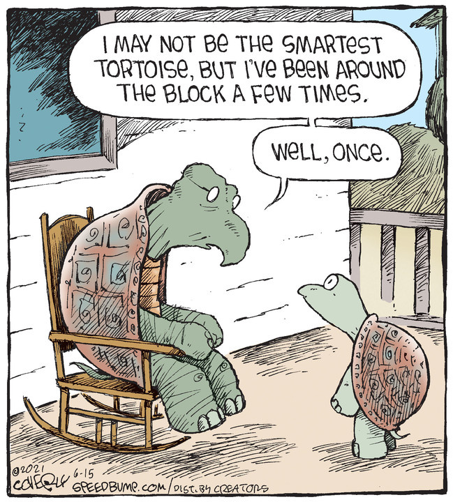 Speed Bump for Jun 15, 2021