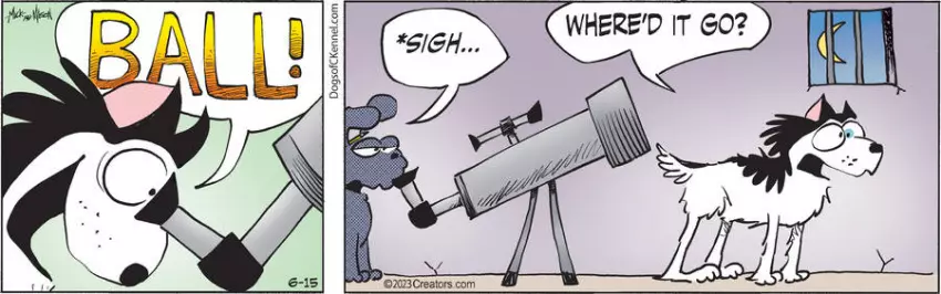 Dogs of C-Kennel for Jun 15, 2023