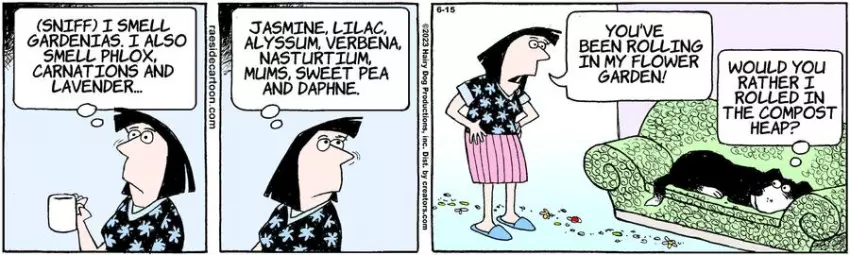 The Other Coast for Jun 15, 2023