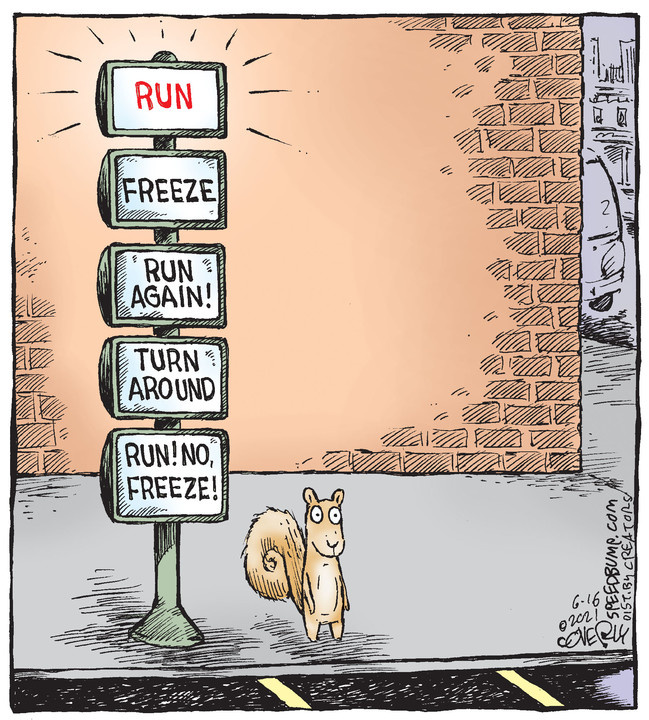 Speed Bump for Jun 16, 2021