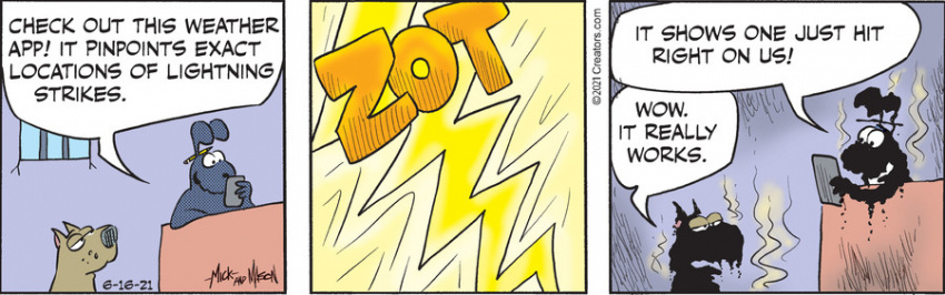 Dogs of C-Kennel for Jun 16, 2021