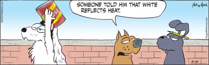 Dogs of C-Kennel for Jun 16, 2023