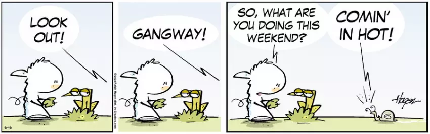 The Barn for Jun 16, 2023