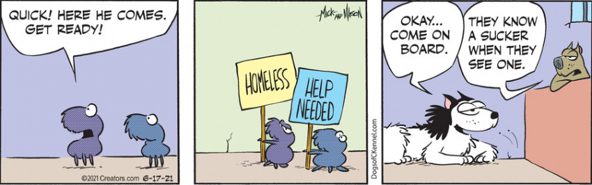 Dogs of C-Kennel for Jun 17, 2021