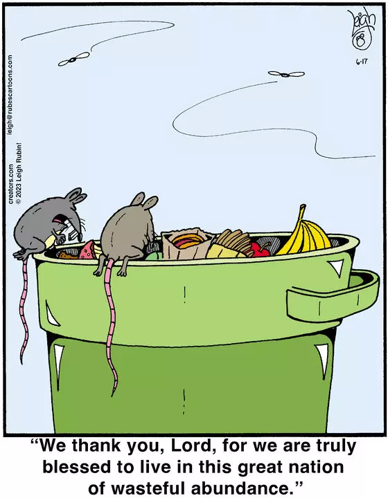 Rubes® for Jun 17, 2023