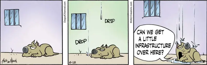 Dogs of C-Kennel for Jun 18, 2022
