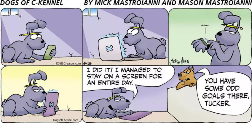 Dogs of C-Kennel for Jun 18, 2023