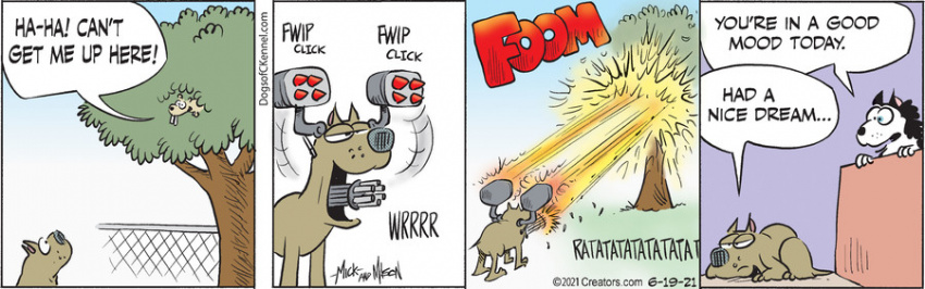 Dogs of C-Kennel for Jun 19, 2021