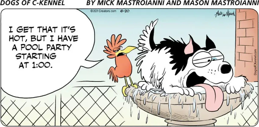 Dogs of C-Kennel for Jun 20, 2021
