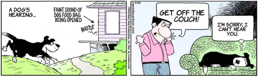 The Other Coast for Jun 20, 2023