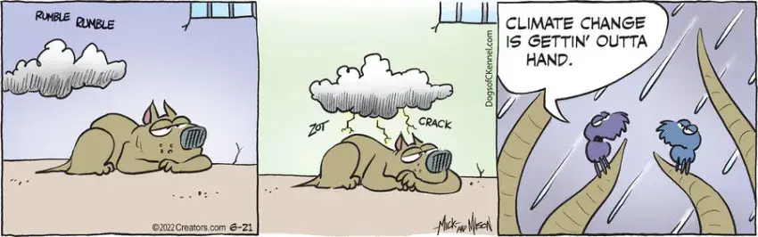 Dogs of C-Kennel for Jun 21, 2022