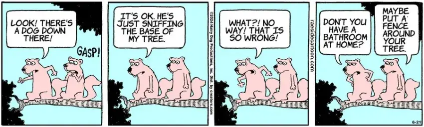 The Other Coast for Jun 21, 2024