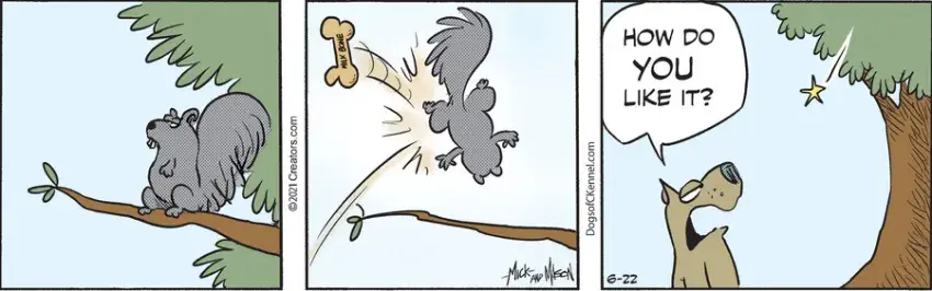 Dogs of C-Kennel for Jun 22, 2021