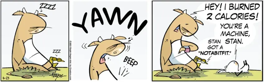 The Barn for Jun 23, 2021