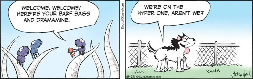 Dogs of C-Kennel for Jun 23, 2022