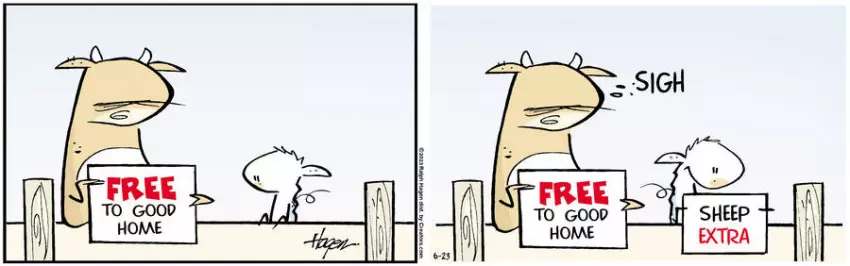 The Barn for Jun 23, 2023