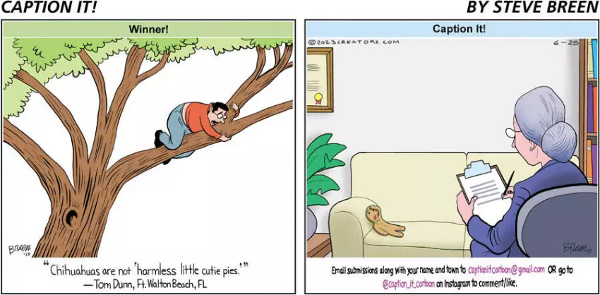 Caption It! for Jun 25, 2023