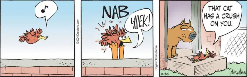 Dogs of C-Kennel for Jun 26, 2024