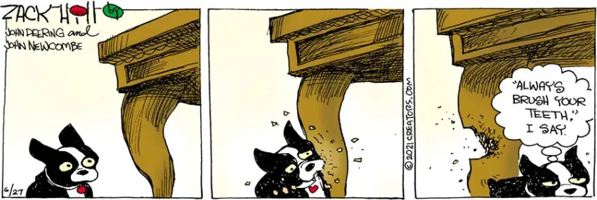 Zack Hill for Jun 27, 2021